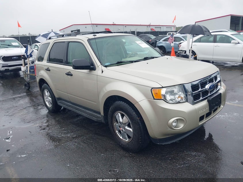 FORD ESCAPE XLT