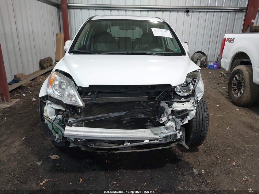 2007 Honda Cr-V Ex-L VIN: JHLRE38767C077379 Lot: 43552386