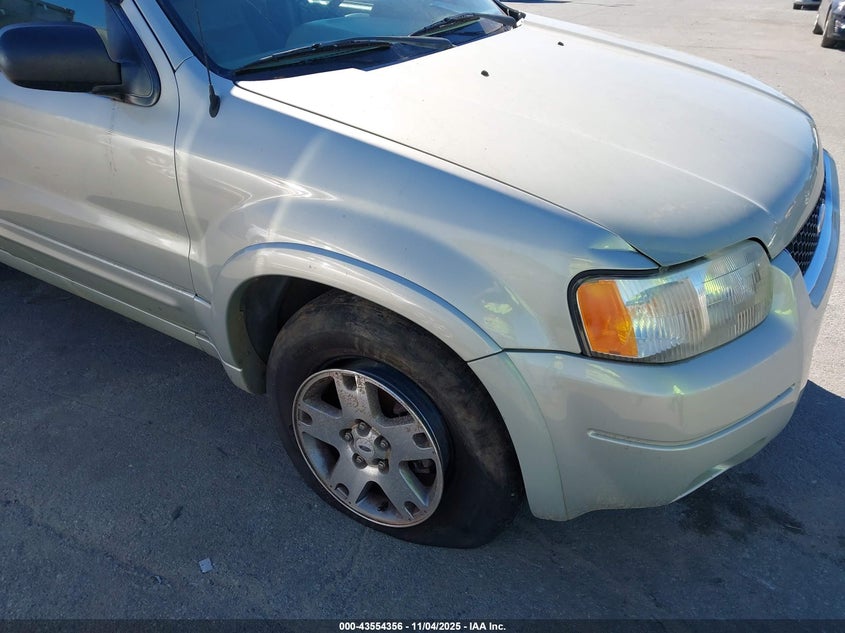 2004 Ford Escape Limited VIN: 1FMCU04194KA19141 Lot: 43554356