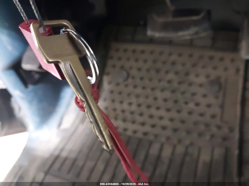 1995 Ford Bronco U100 VIN: 1FMEU15N4SLB56530 Lot: 43554665