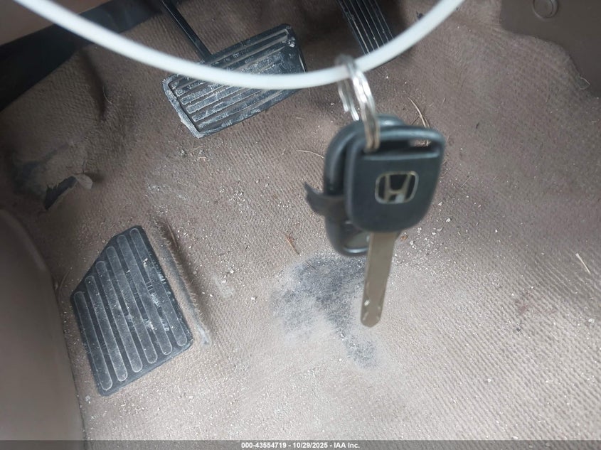 2004 Honda Cr-V Ex VIN: JHLRD78804C019556 Lot: 43554719