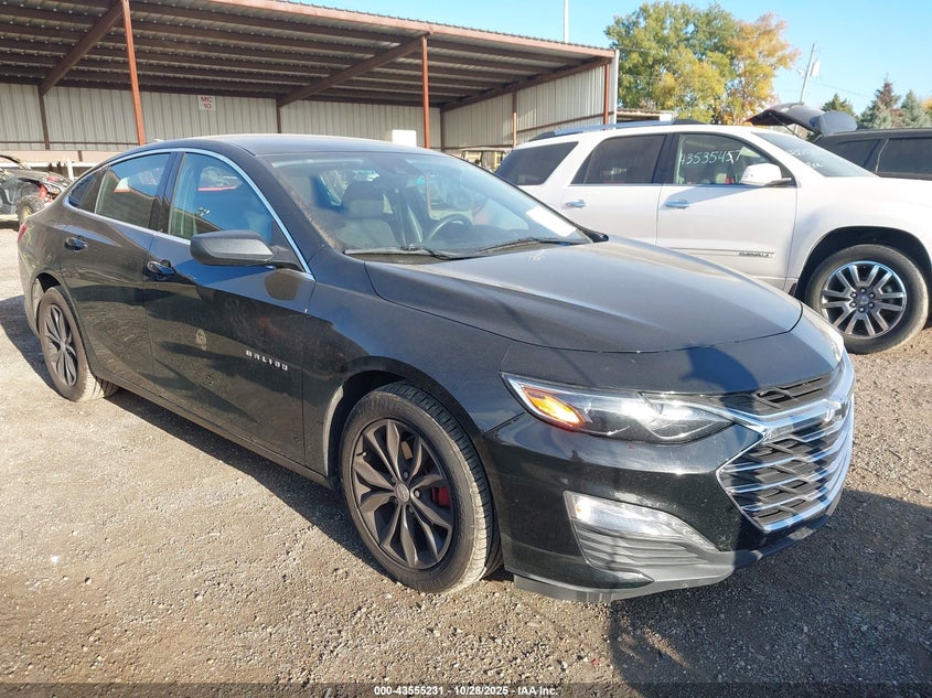 CHEVROLET MALIBU FWD 1LT