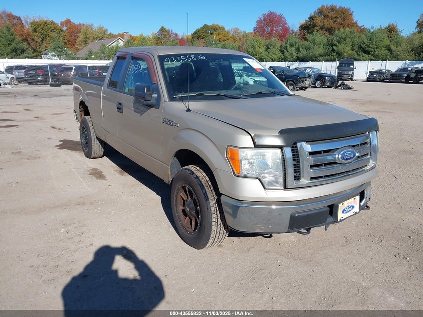 FORD F-150 XLT