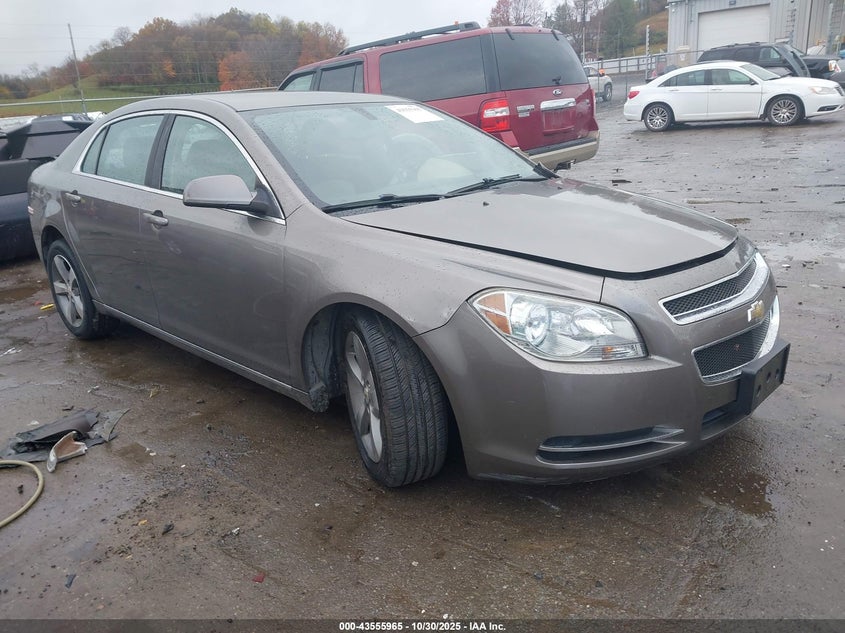 CHEVROLET MALIBU 1LT