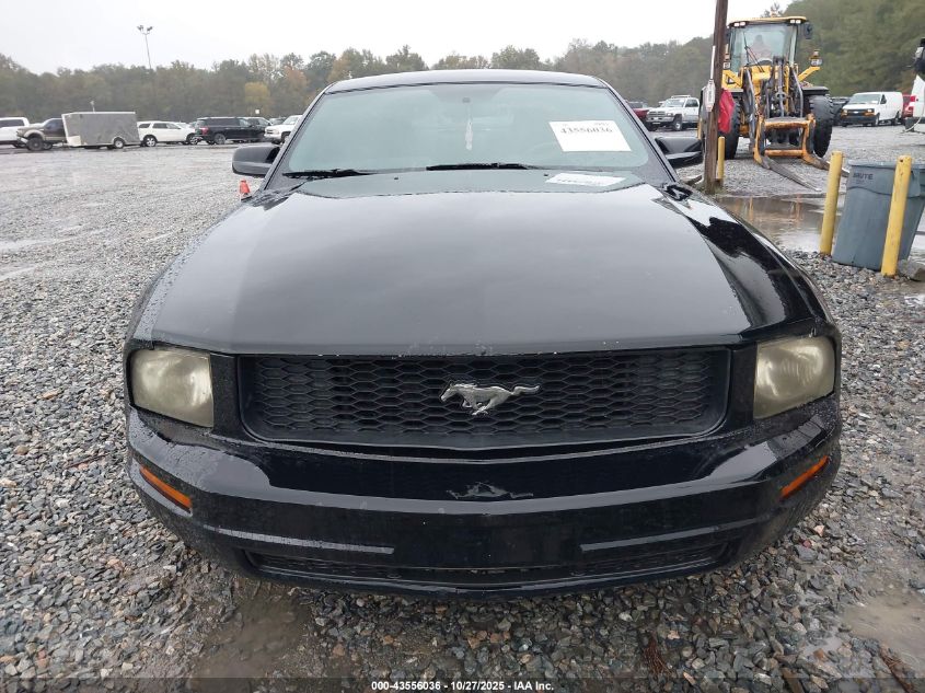 2005 Ford Mustang V6 Deluxe/V6 Premium VIN: 1ZVFT80N255150260 Lot: 43556036