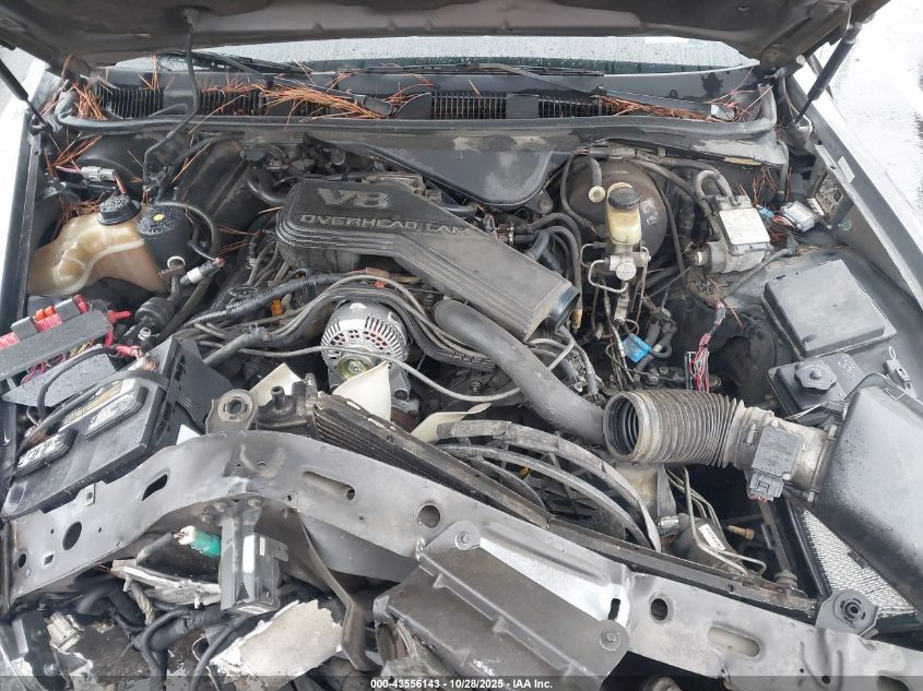 1995 Lincoln Town Car Signature/Spinnaker VIN: 1LNLM82W4SY754004 Lot: 43556143