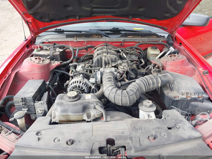 1ZVFT80N665261203 2006 FORD MUSTANG photo no. 10