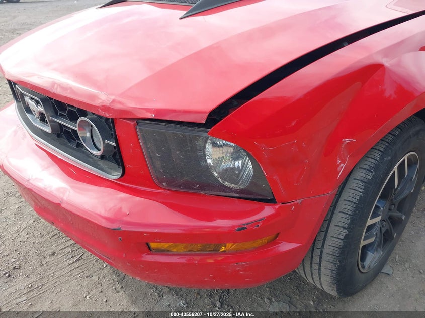 1ZVFT80N665261203 2006 FORD MUSTANG photo no. 6