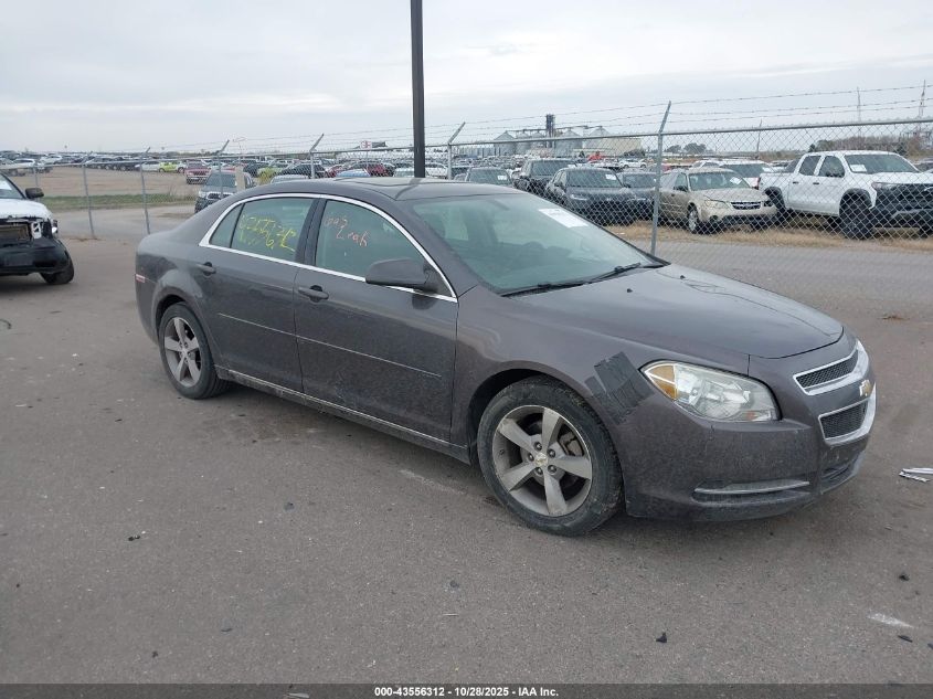CHEVROLET MALIBU 1LT