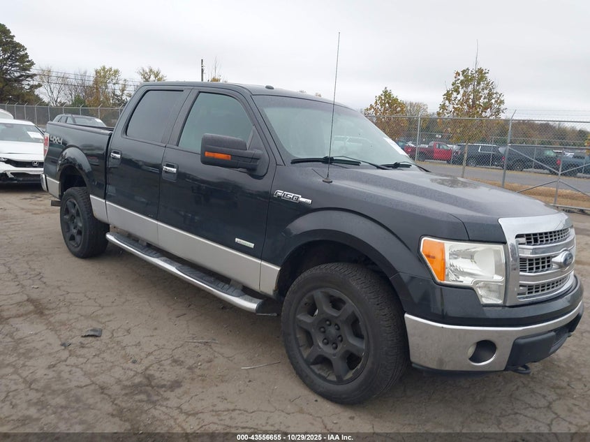 FORD F-150 XLT