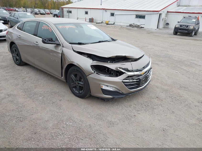 CHEVROLET MALIBU FWD 1LT