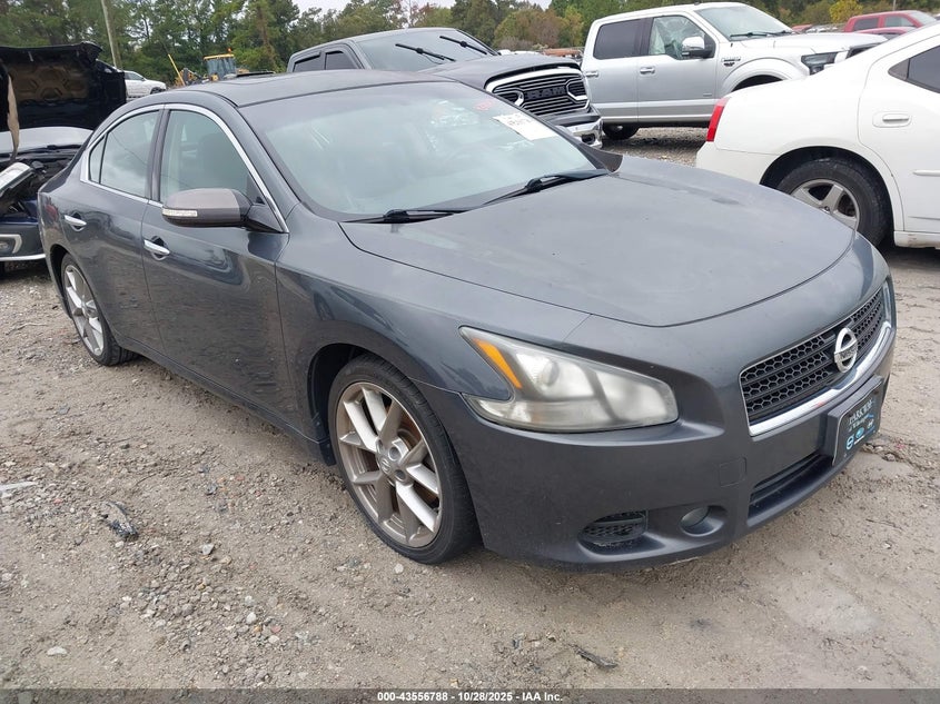 NISSAN MAXIMA 3.5 SV