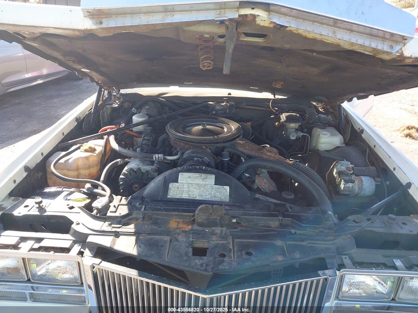 1984 Cadillac Eldorado Biarritz VIN: 1G6AL6785EE668545 Lot: 43556820