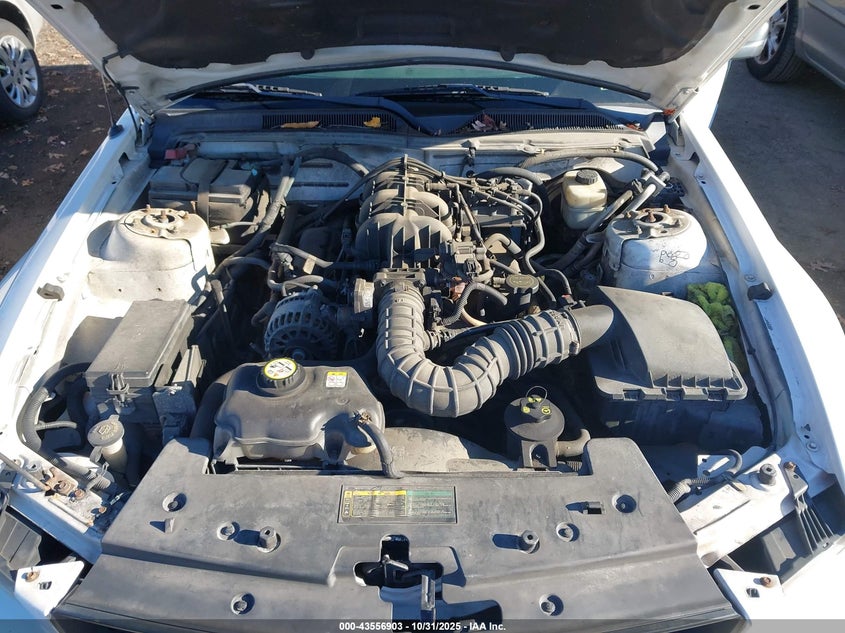 1ZVFT80N475351354 2007 FORD MUSTANG photo no. 10