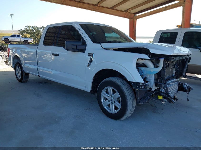 FORD F-150 XLT