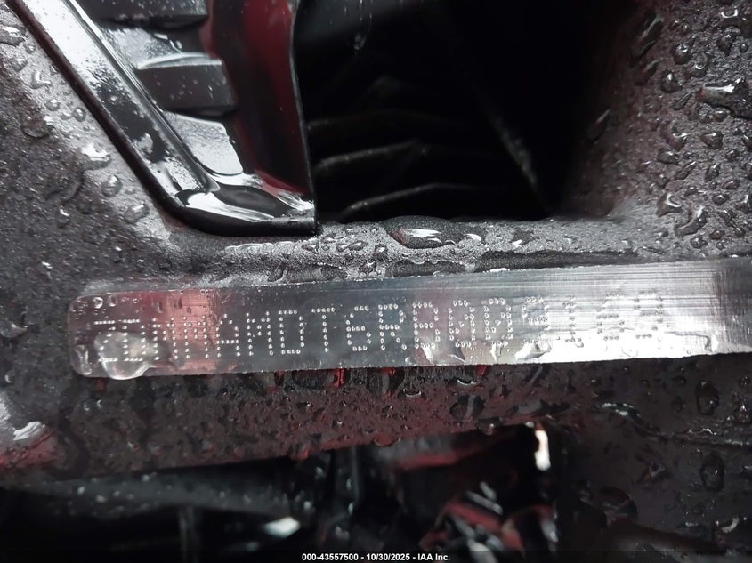 2024 Ducati Monster VIN: ZDMMAMDT6RB009169 Lot: 43557500