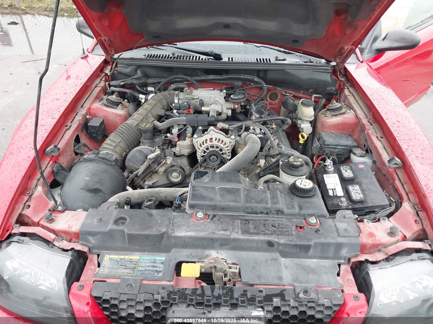 2003 Ford Mustang Gt VIN: 1FAFP45X33F435721 Lot: 43557546