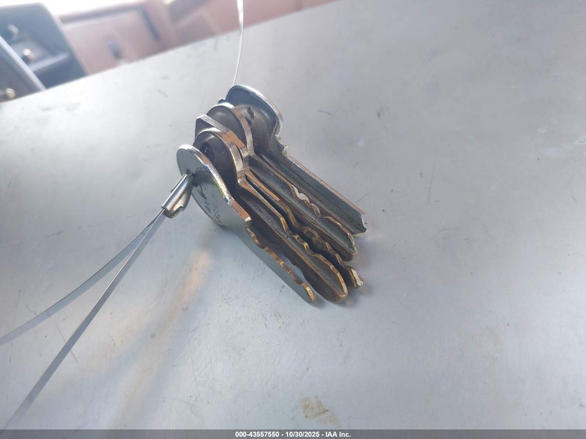 1987 Ford Bronco U100 VIN: 1FMEU15N1HLA36645 Lot: 43557550