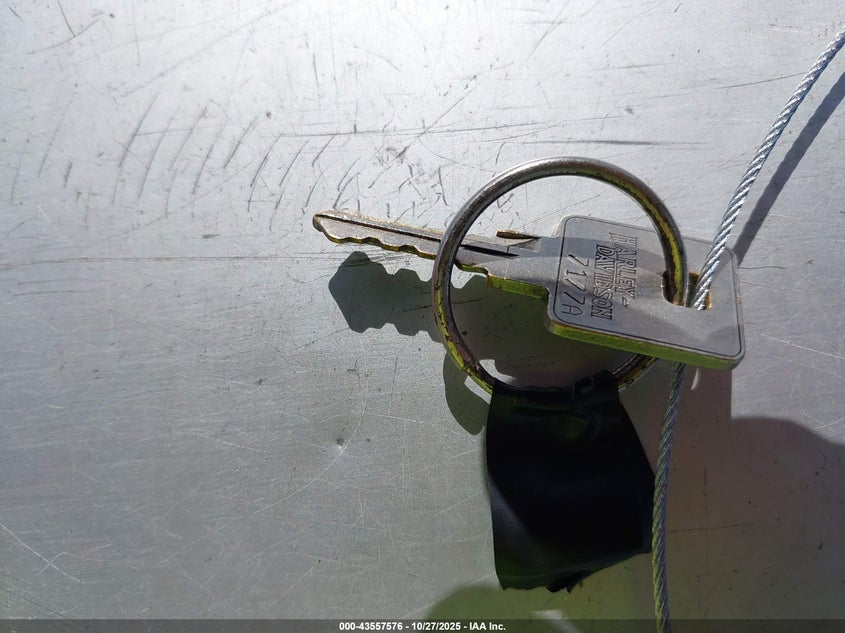 2012 Harley-Davidson Xl1200 Cp VIN: 1HD1LH310CC435150 Lot: 43557576