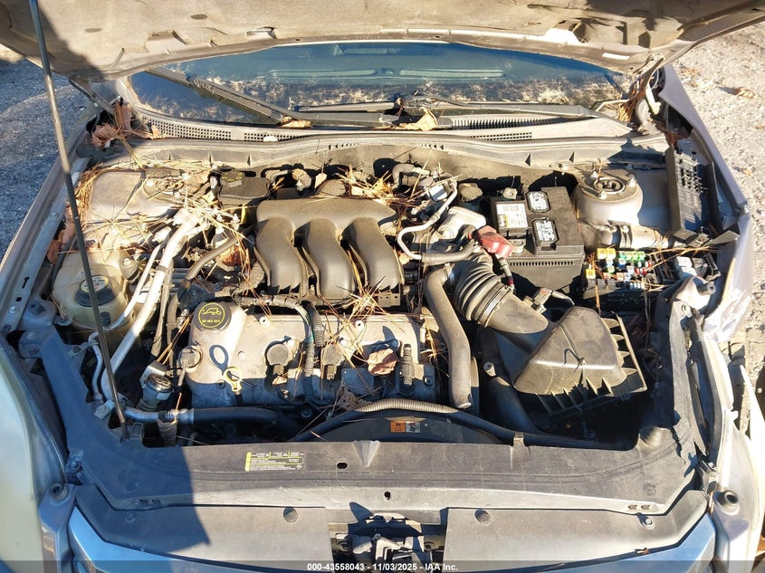 2007 Ford Fusion Sel VIN: 3FAHP08177R161053 Lot: 43558043