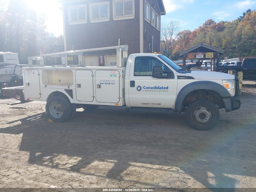 2008 Ford F-450 Chassis Xl/Xlt VIN: 1FDXF46Y88EE56128 Lot: 43558088