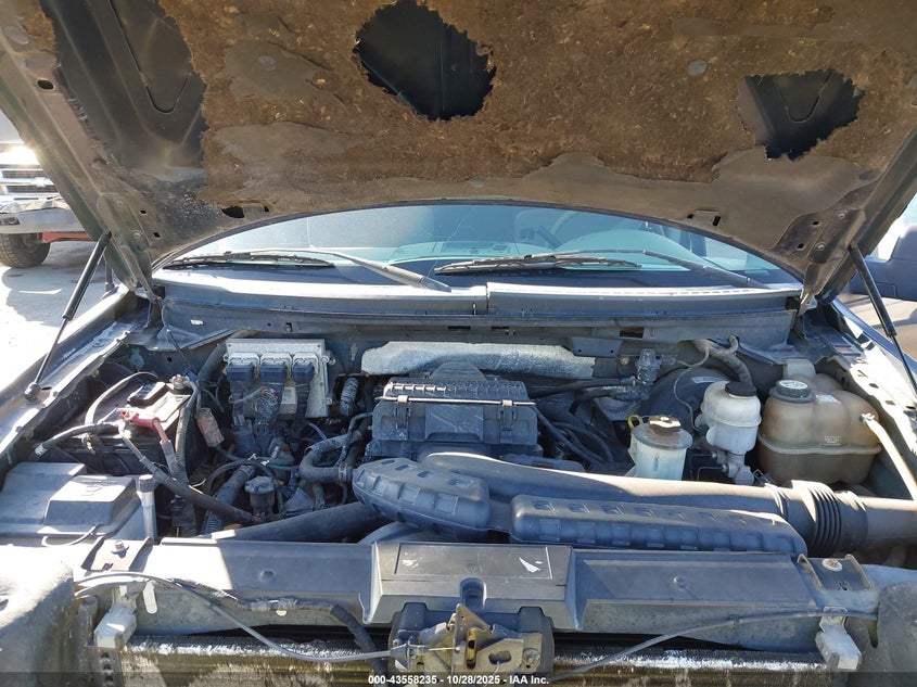 2007 Ford F-150 Fx2/Lariat/Xlt VIN: 1FTPW12537KD64231 Lot: 43558235