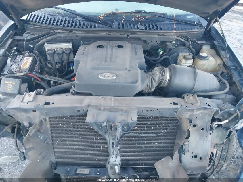 2004 Ford Expedition Eddie Bauer VIN: 1FMEU17W54LB87097 Lot: 43558280