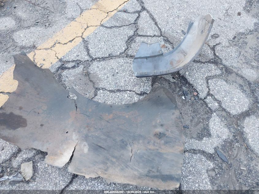 2004 Ford Expedition Eddie Bauer VIN: 1FMEU17W54LB87097 Lot: 43558280