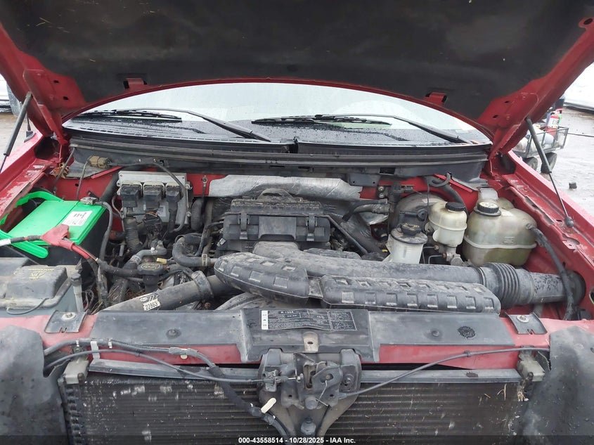 2008 Ford F-150 Fx2/Lariat/Xl/Xlt VIN: 1FTPX12V98KB20310 Lot: 43558514