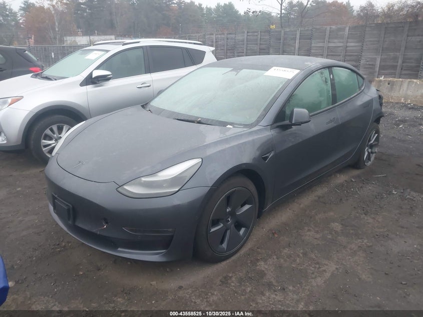 2022 Tesla Model 3 Long Range Dual Motor All-Wheel Drive 5YJ3E1EB5NF181927 photo 1