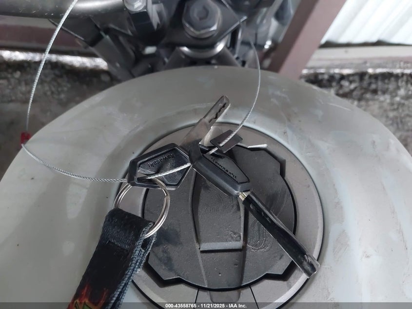 2024 Kawasaki El450 C VIN: ML5ELFC19RDA03650 Lot: 43558765