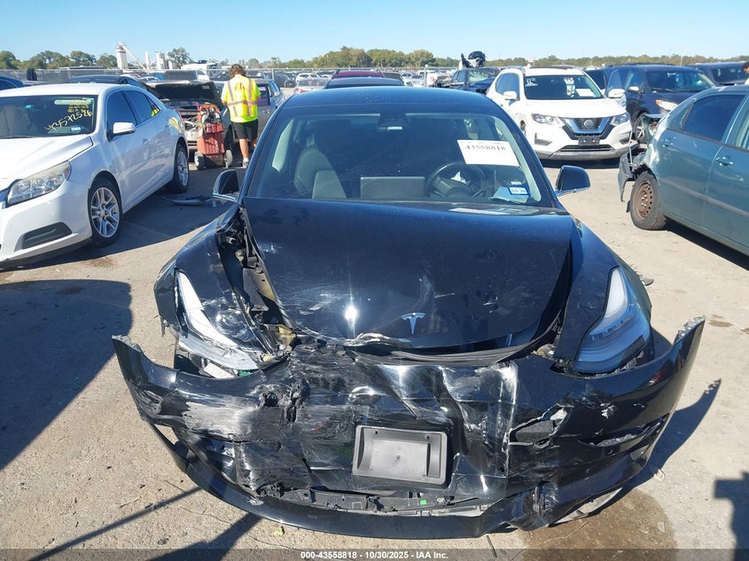 2019 Tesla Model 3 VIN: 5YJ3E1EA4KF399442 Lot: 43558818