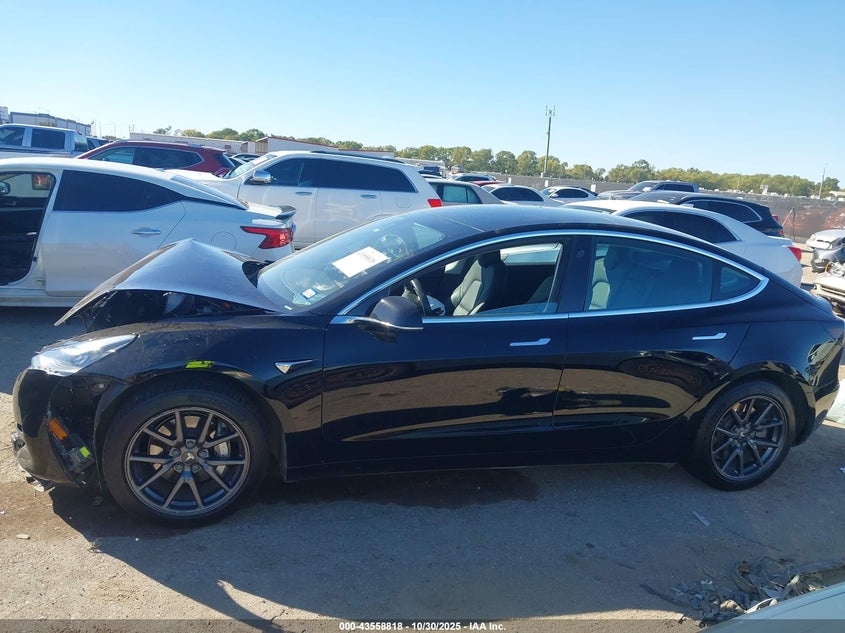 2019 Tesla Model 3 VIN: 5YJ3E1EA4KF399442 Lot: 43558818