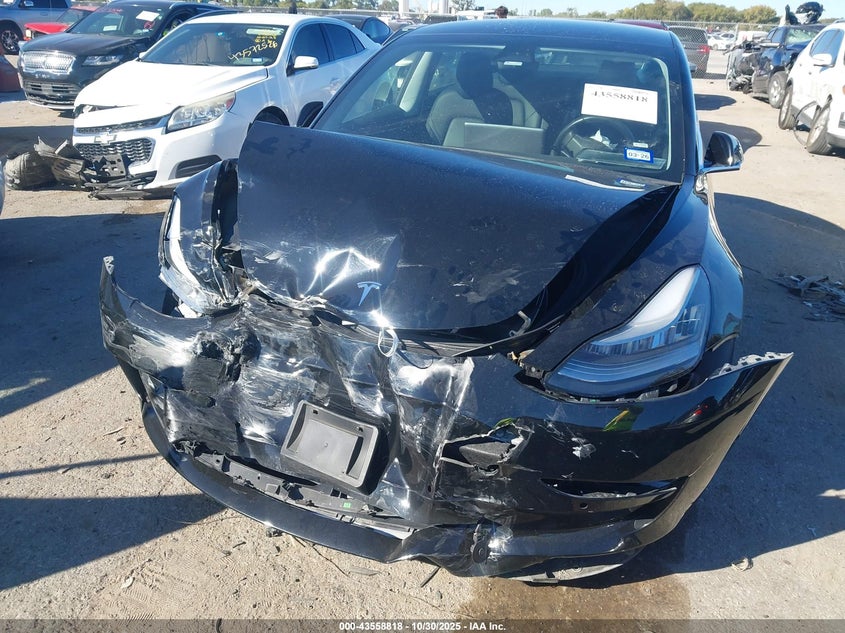 2019 Tesla Model 3 VIN: 5YJ3E1EA4KF399442 Lot: 43558818