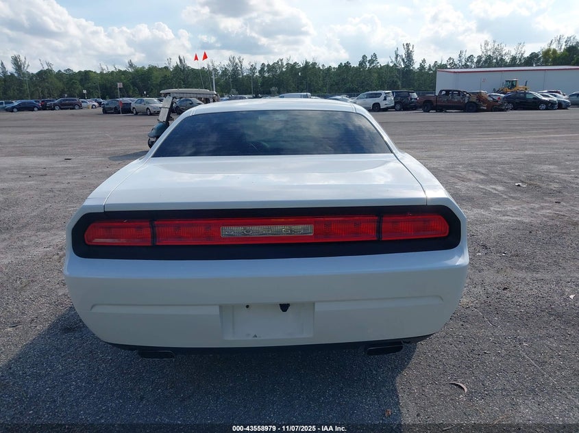 2013 Dodge Challenger Sxt VIN: 2C3CDYAG5DH693813 Lot: 43558979