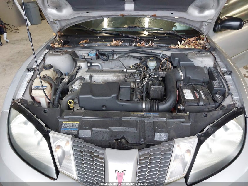 2005 Pontiac Sunfire VIN: 3G2JB12F65S106561 Lot: 43559003