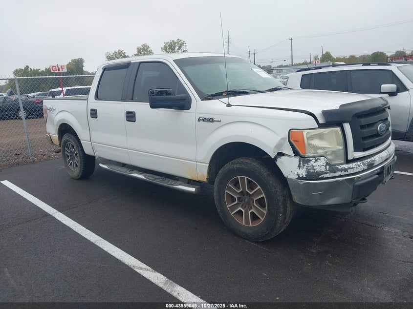 FORD F-150 XL/XLT