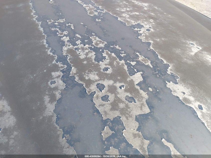 1998 Buick Lesabre Custom VIN: 1G4HP52K7WH531096 Lot: 43559264