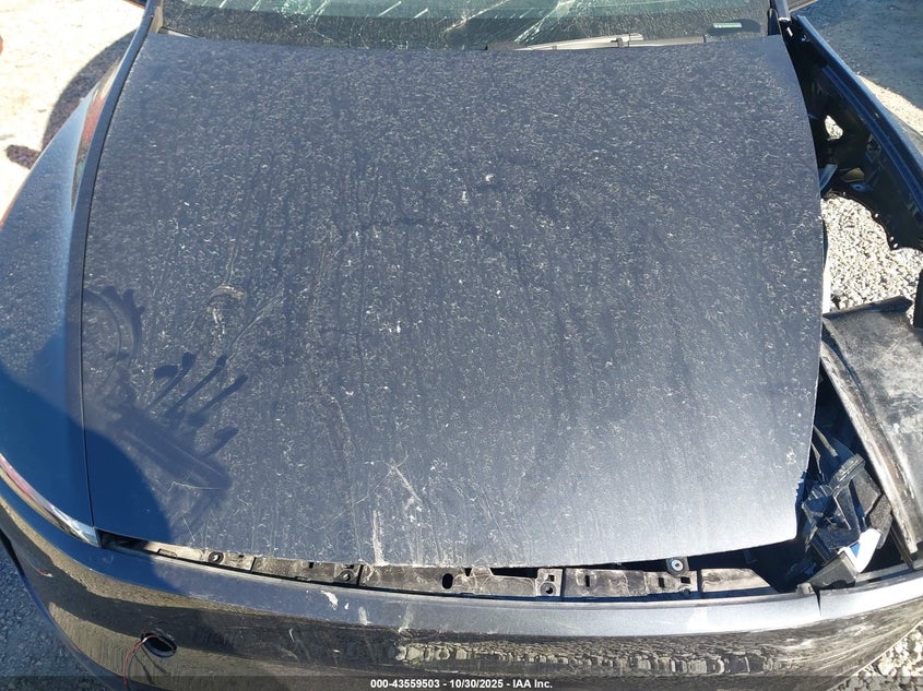 2026 Tesla Model Y Long Range Dual Motor All-Wheel Drive/Long Range Launch Series VIN: 7SAYGDEE3TA391368 Lot: 43559503