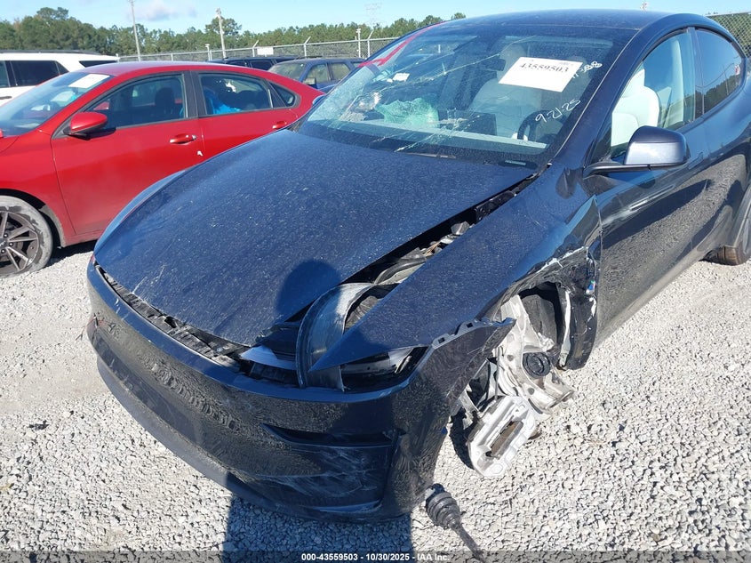 2026 Tesla Model Y Long Range Dual Motor All-Wheel Drive/Long Range Launch Series VIN: 7SAYGDEE3TA391368 Lot: 43559503