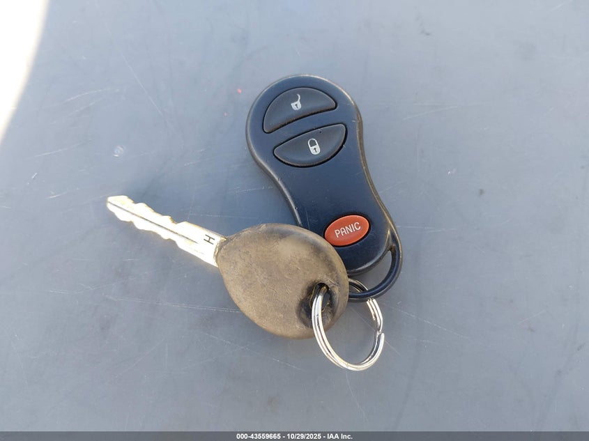 2003 Chrysler Voyager Lx VIN: 1C4GJ45343B303877 Lot: 43559665