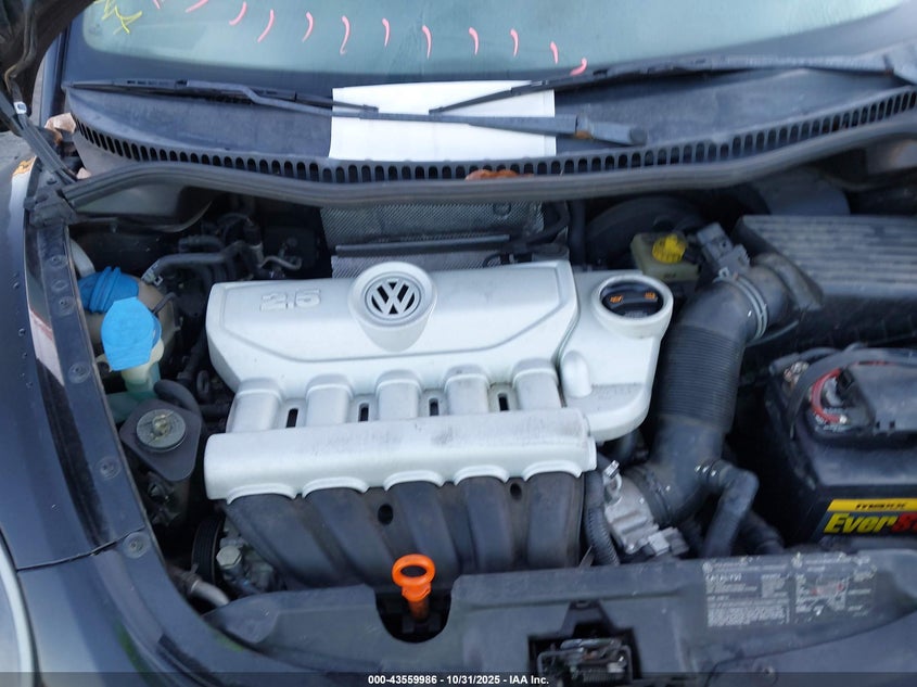 2007 Volkswagen New Beetle 2.5 VIN: 3VWRF31YX7M407999 Lot: 43559986