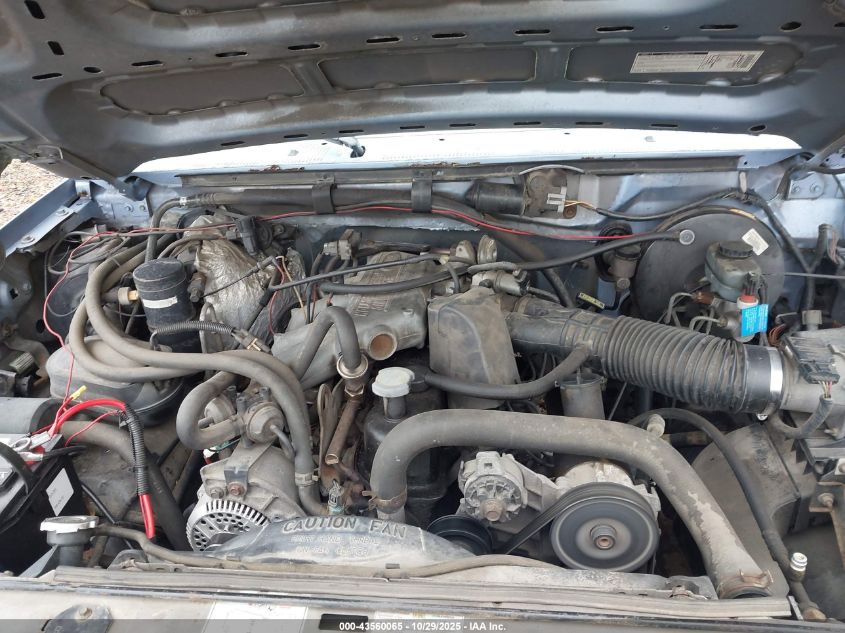 1996 Ford F150 VIN: 1FTEF14Y1TLB56206 Lot: 43560065