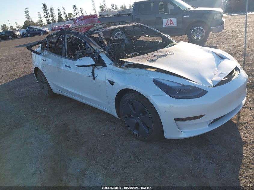 5YJ3E1EAXPF432032 2023 TESLA MODEL 3 photo no. 13