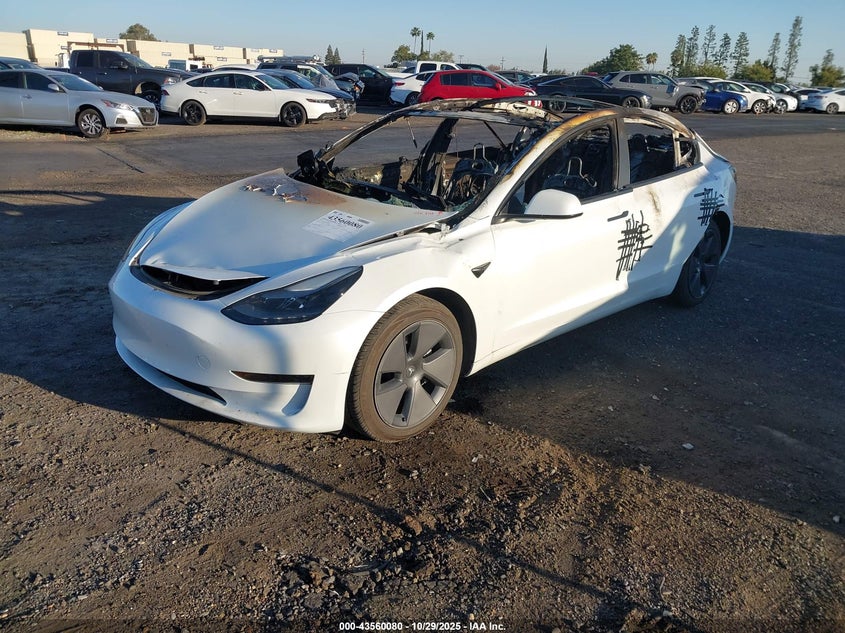 5YJ3E1EAXPF432032 2023 TESLA MODEL 3 photo no. 2
