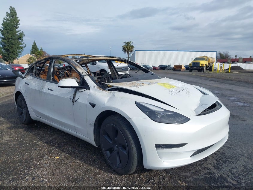 2023 Tesla Model 3 Rear-Wheel Drive