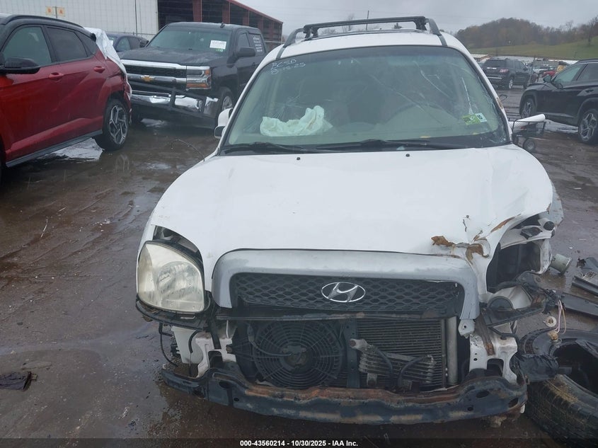 2004 Hyundai Santa Fe Gls VIN: KM8SC73D04U614211 Lot: 43560214