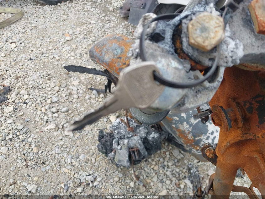 1982 Harley-Davidson Fxe VIN: 1HD1BAK14CY017575 Lot: 43560218