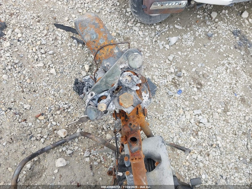 1982 Harley-Davidson Fxe VIN: 1HD1BAK14CY017575 Lot: 43560218