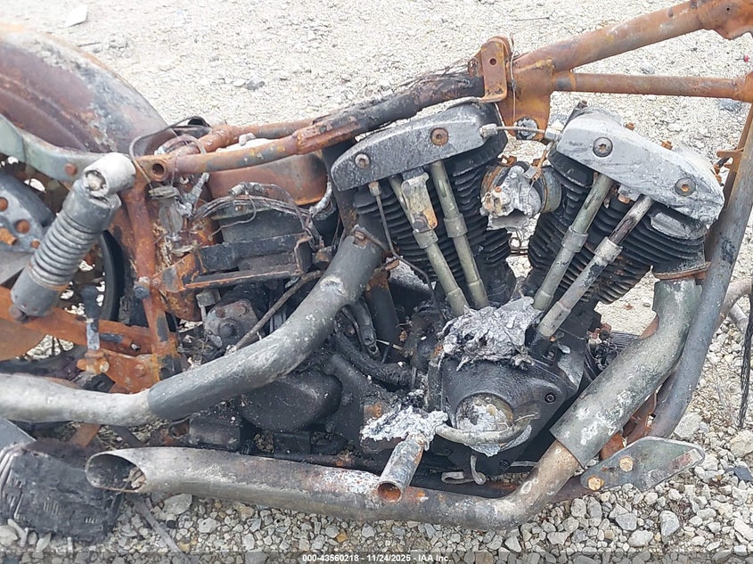 1982 Harley-Davidson Fxe VIN: 1HD1BAK14CY017575 Lot: 43560218